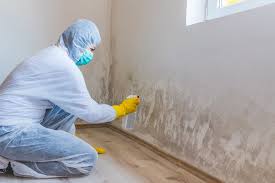 Best Mold Removal for HVAC Installations  in Jennings, MO