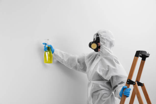 Mold Remediation for Vacation Homes in Jennings, MO